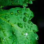 52开奖网最新开奖结果与号码查询 2dkzuj