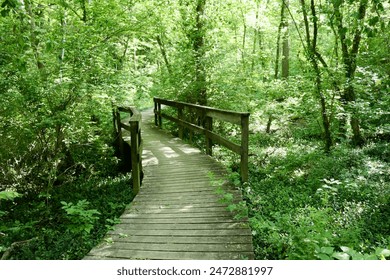 深入蓝钻娱乐：揭秘背后的成功故事与发展历程