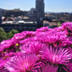 KCTV直播:精彩节目实时放送,不容错过! tk8c7