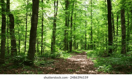 KG铁杆球迷必看!独家直播赛事全程热血解说 KG铁杆球迷必看!独家直播赛事全程热血解说